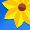 探花视频播放器